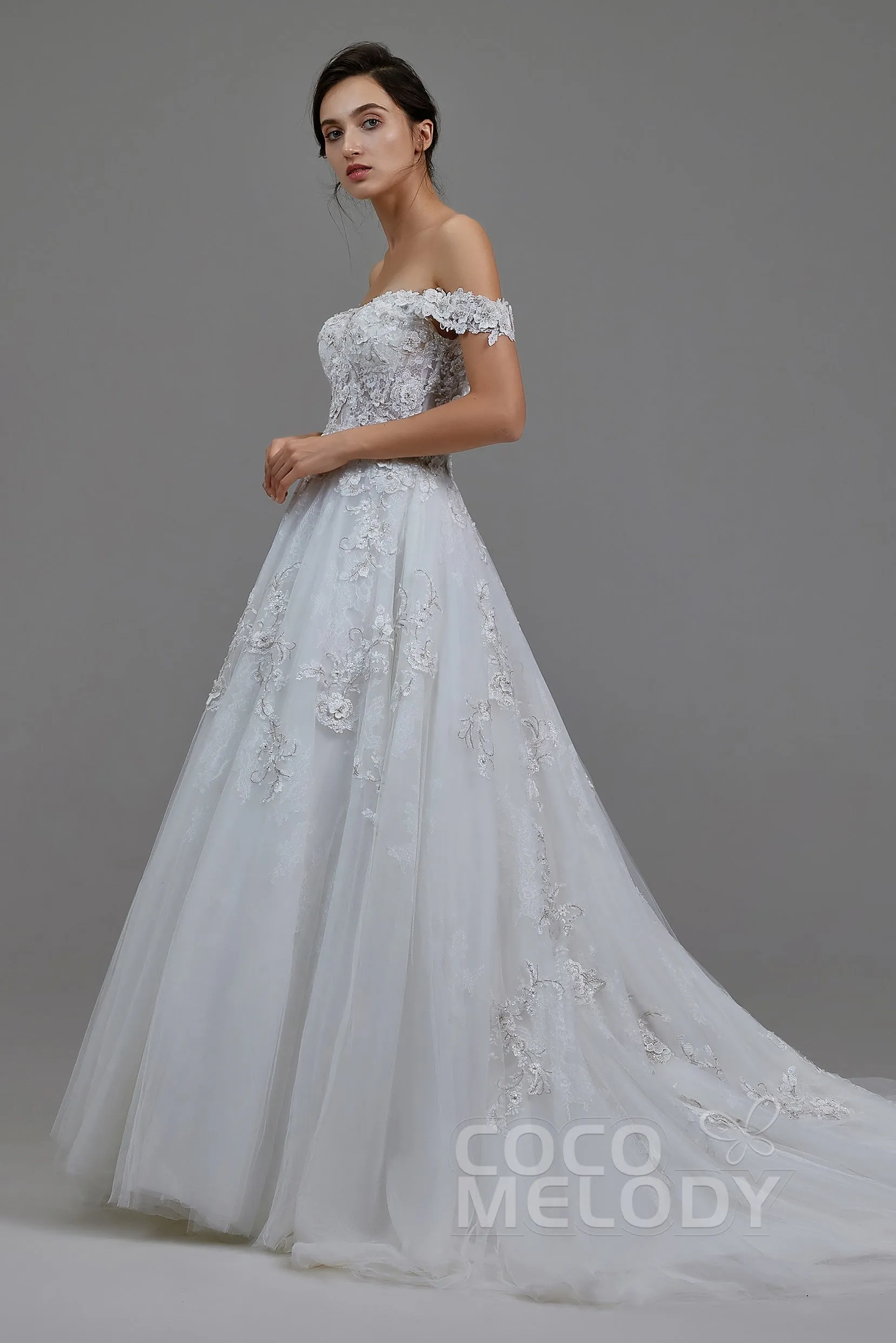 A-Line Chapel Train Tulle and Lace Wedding Dress LD5812