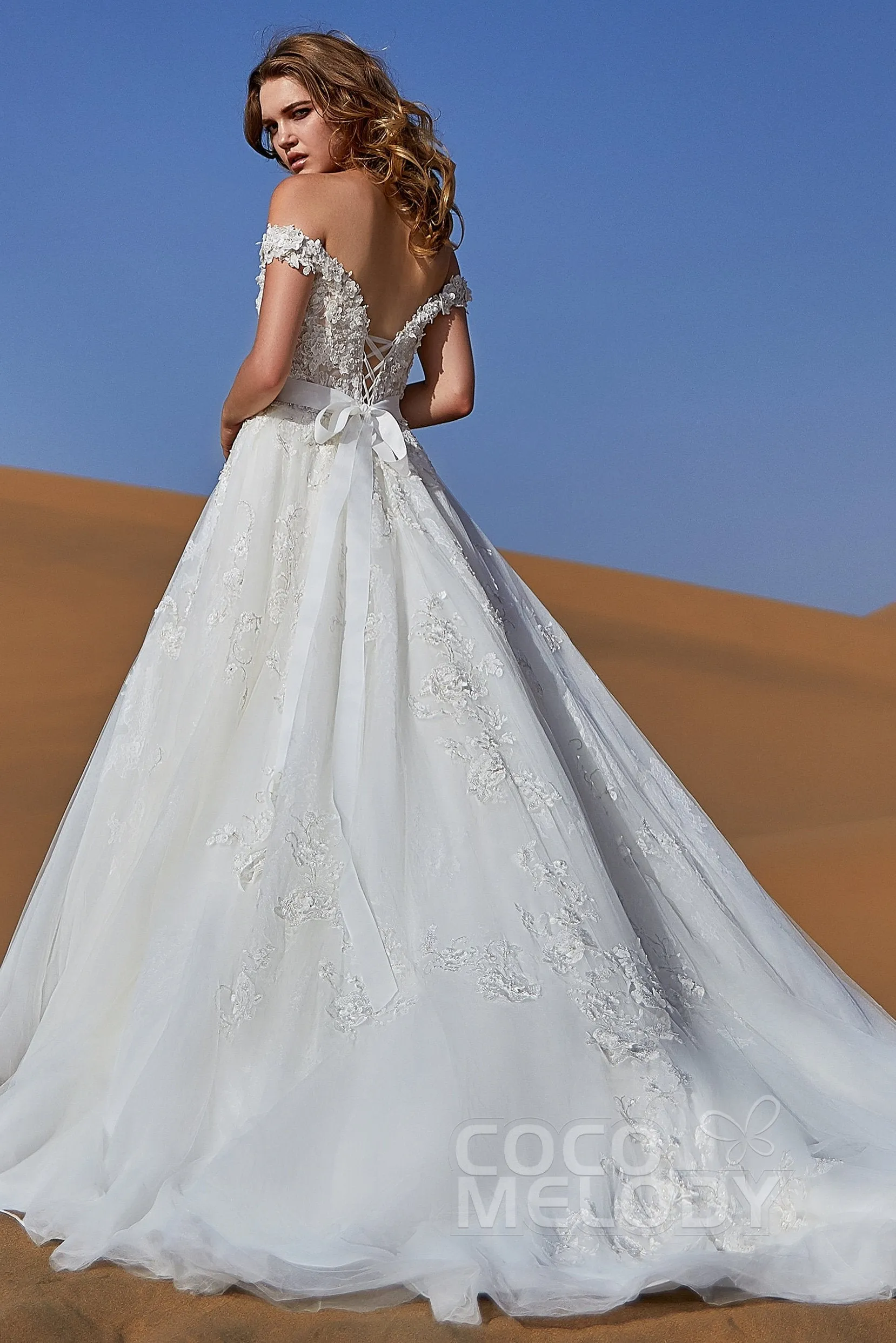 A-Line Chapel Train Tulle and Lace Wedding Dress LD5812