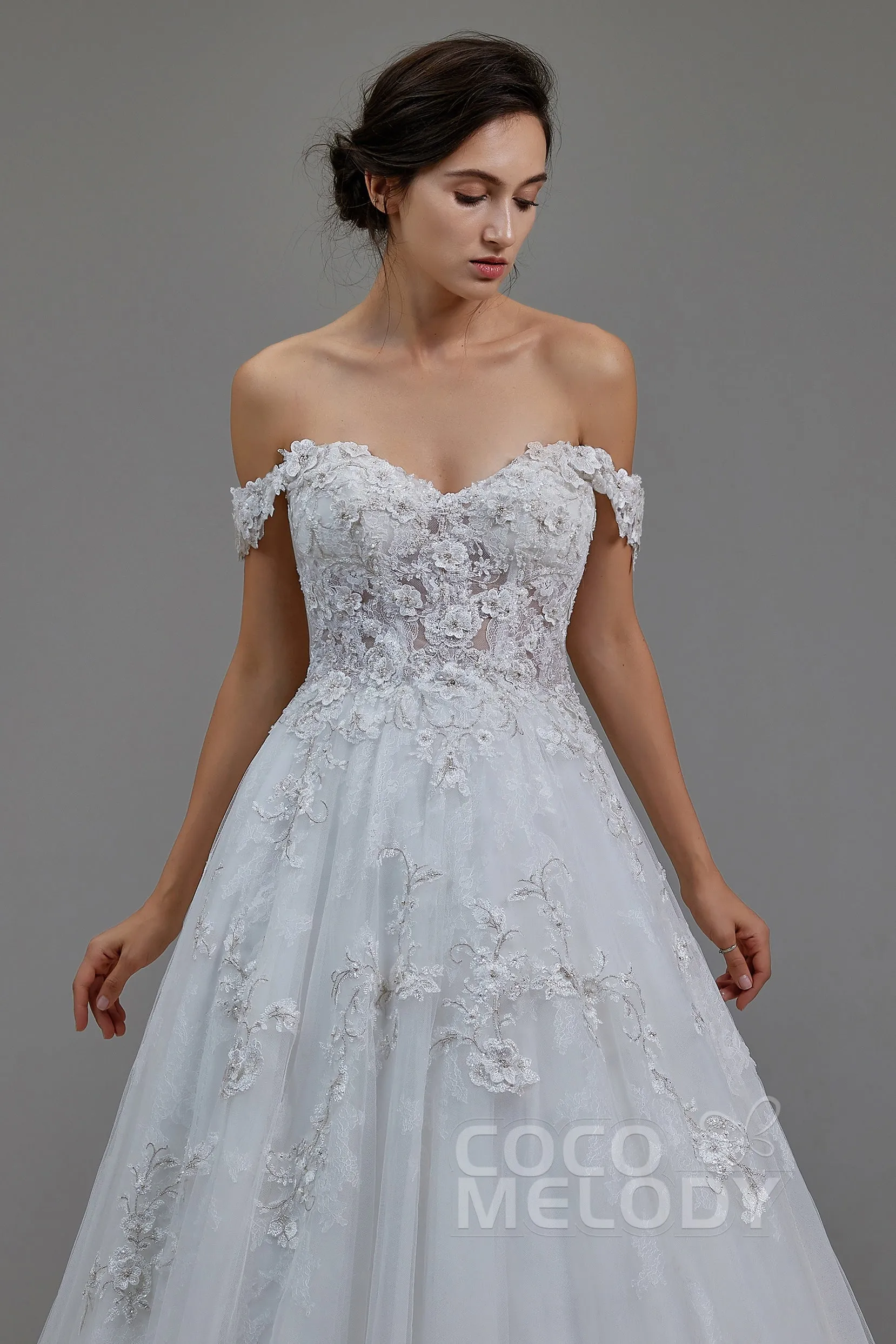 A-Line Chapel Train Tulle and Lace Wedding Dress LD5812