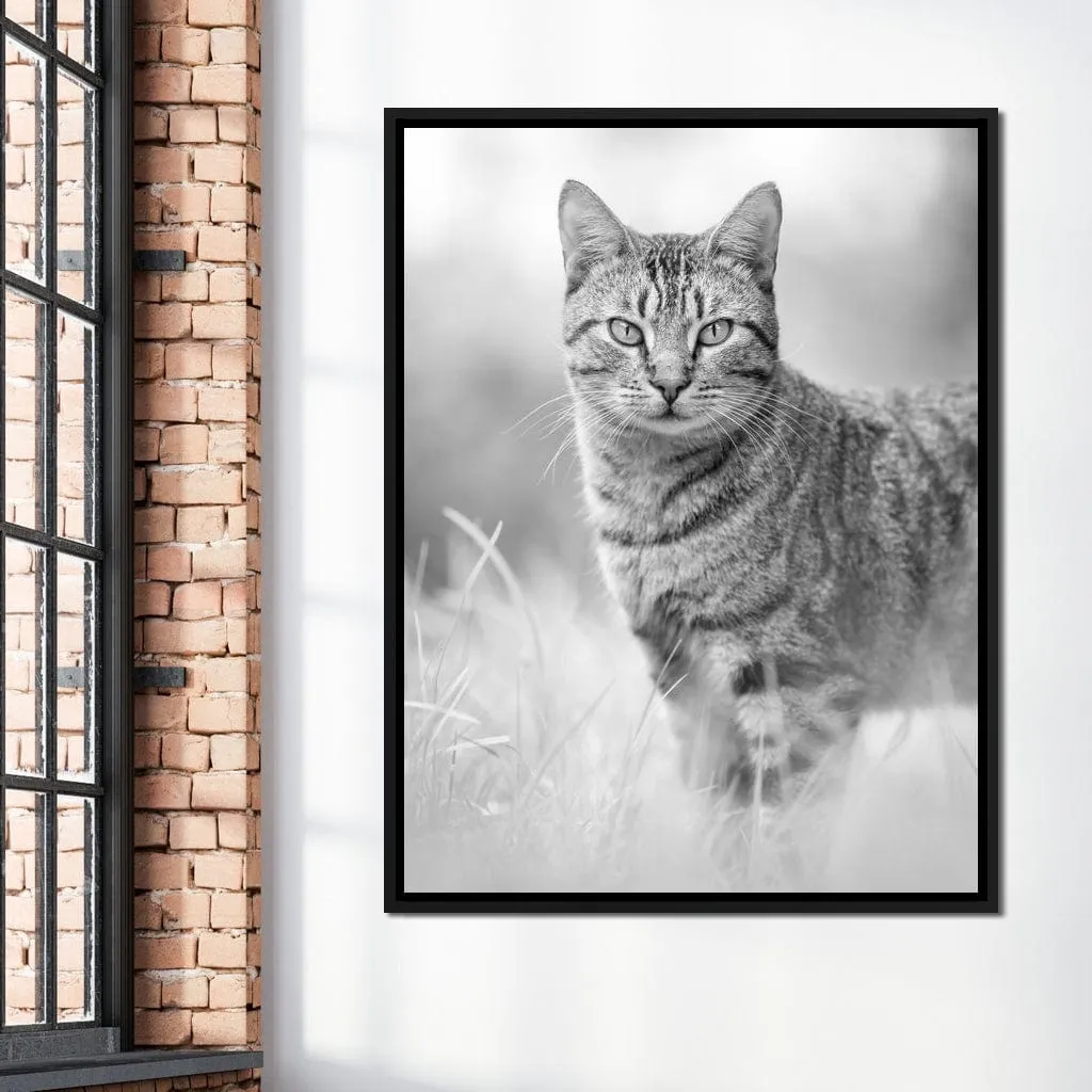 Black & White Kitty Cat - Ben Heine