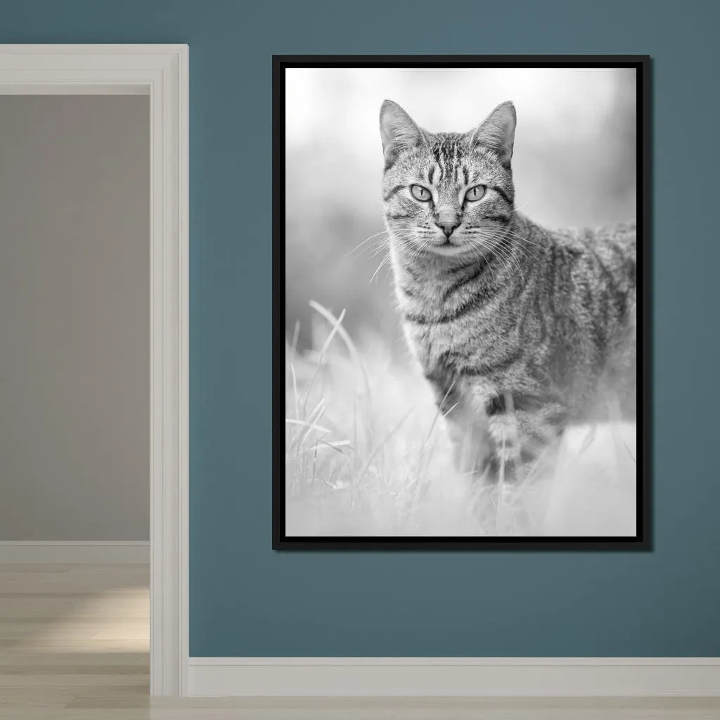 Black & White Kitty Cat - Ben Heine