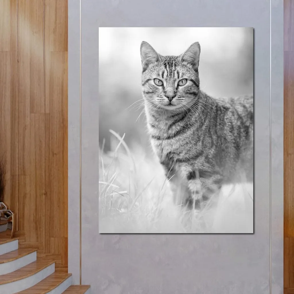 Black & White Kitty Cat - Ben Heine