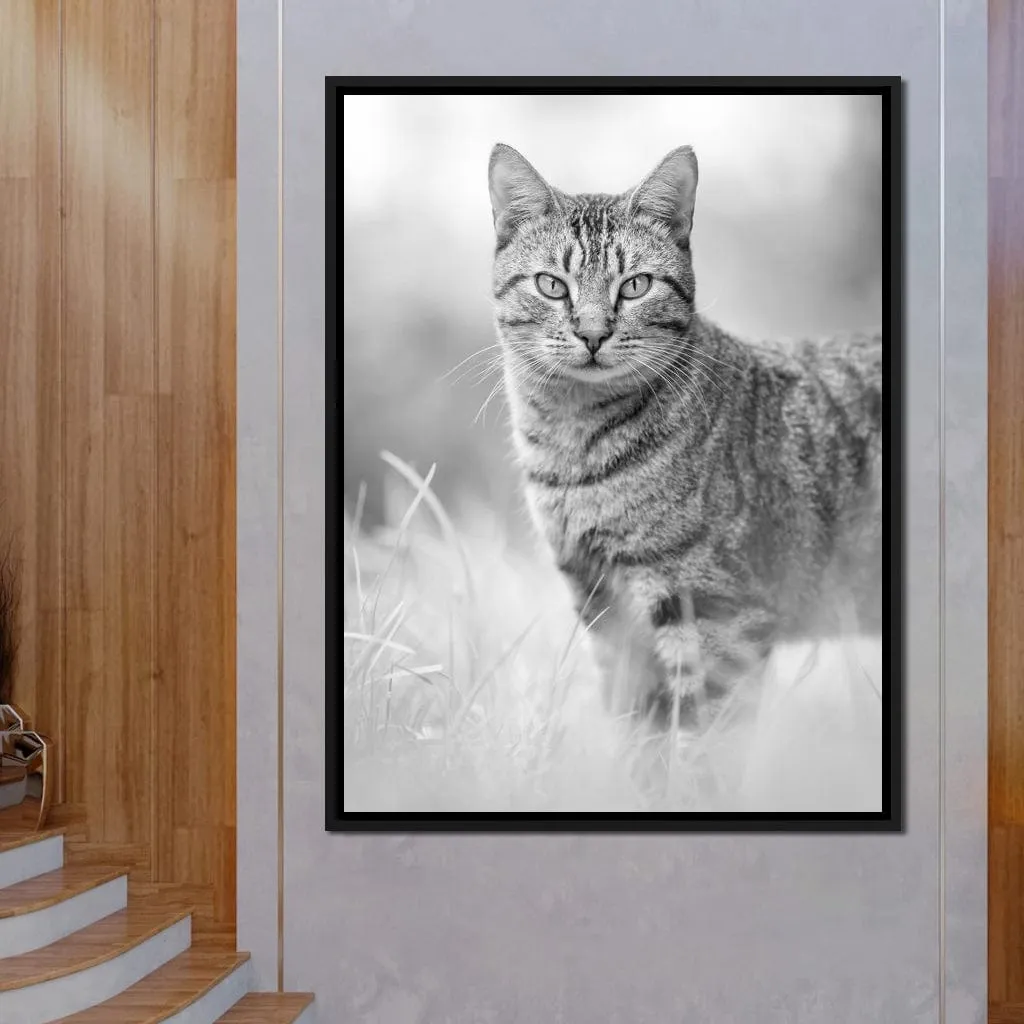 Black & White Kitty Cat - Ben Heine