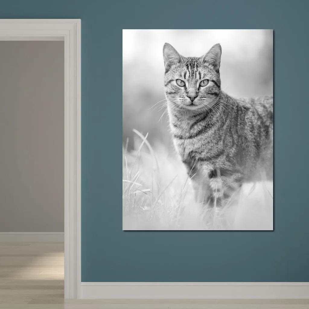 Black & White Kitty Cat - Ben Heine