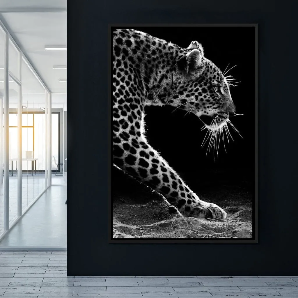 Black and white Leopard