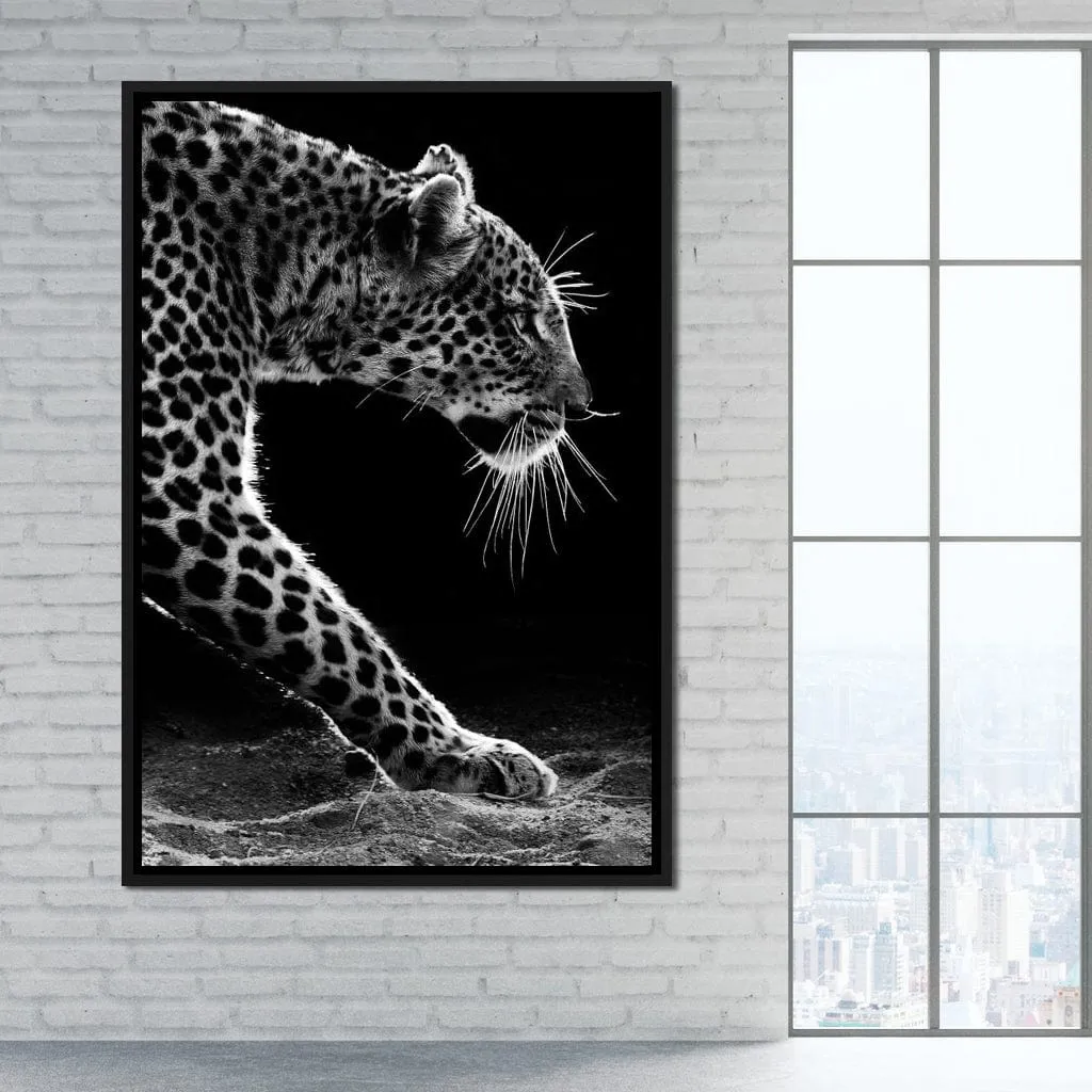 Black and white Leopard