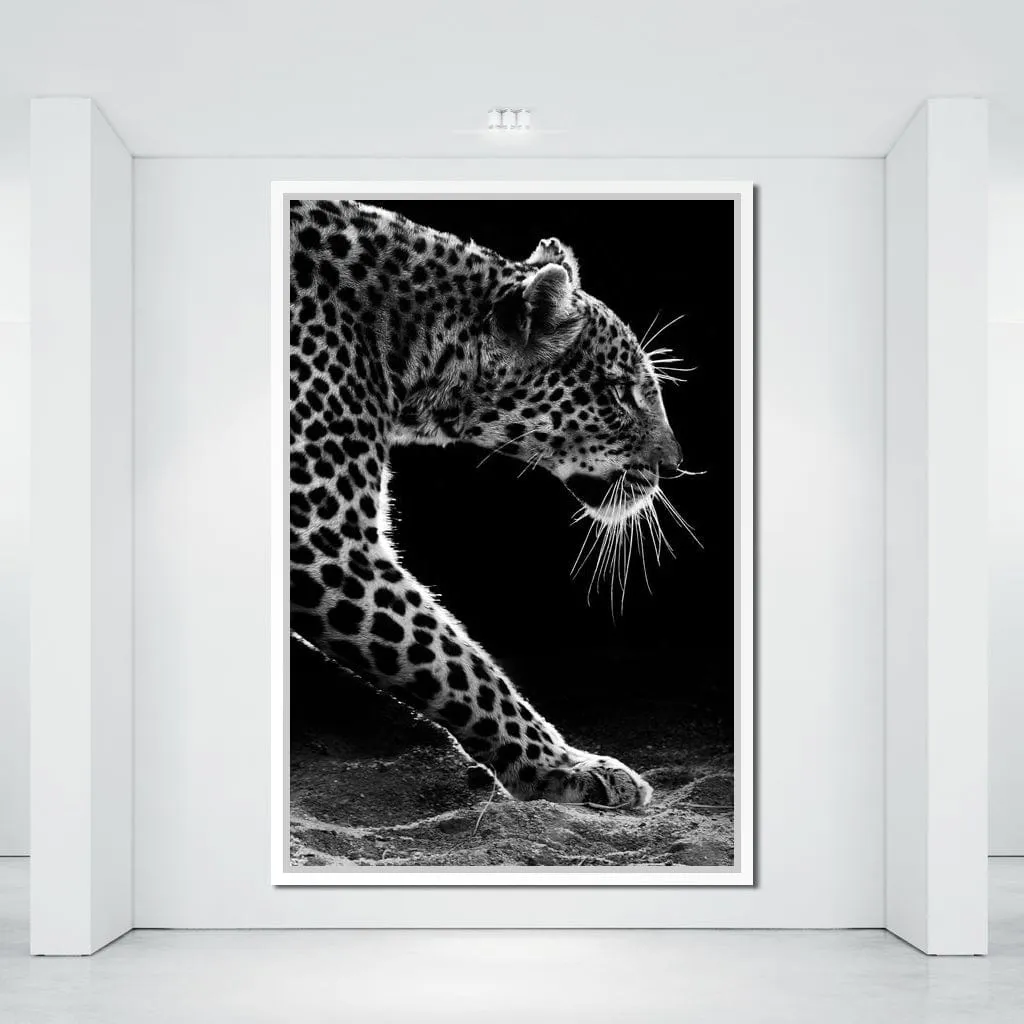 Black and white Leopard