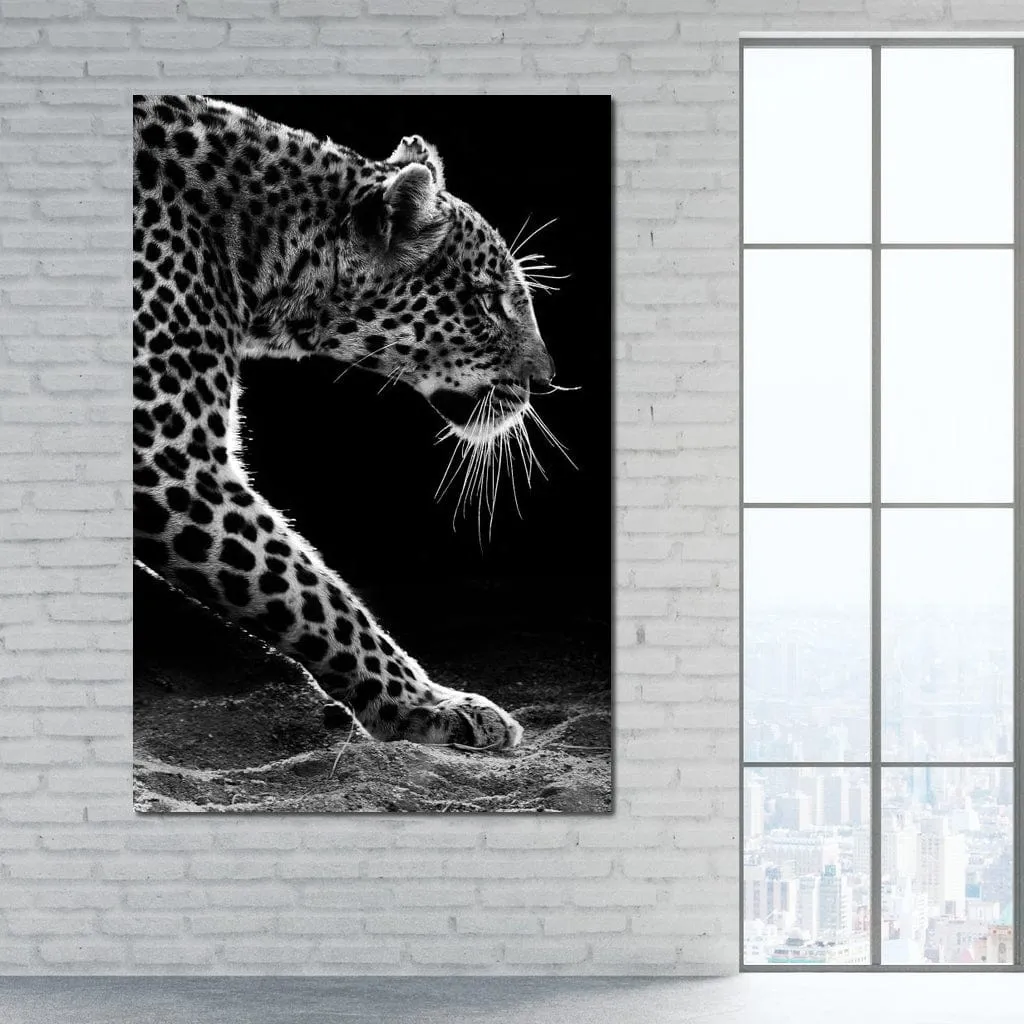 Black and white Leopard