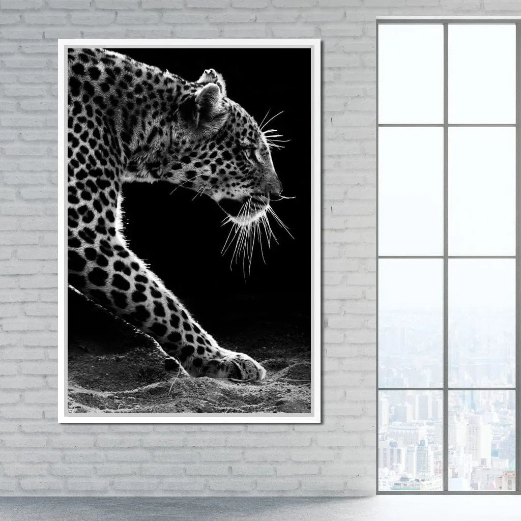 Black and white Leopard