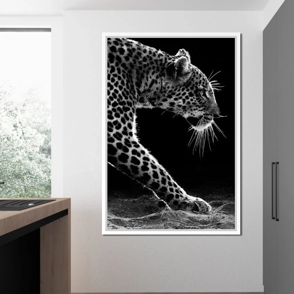 Black and white Leopard