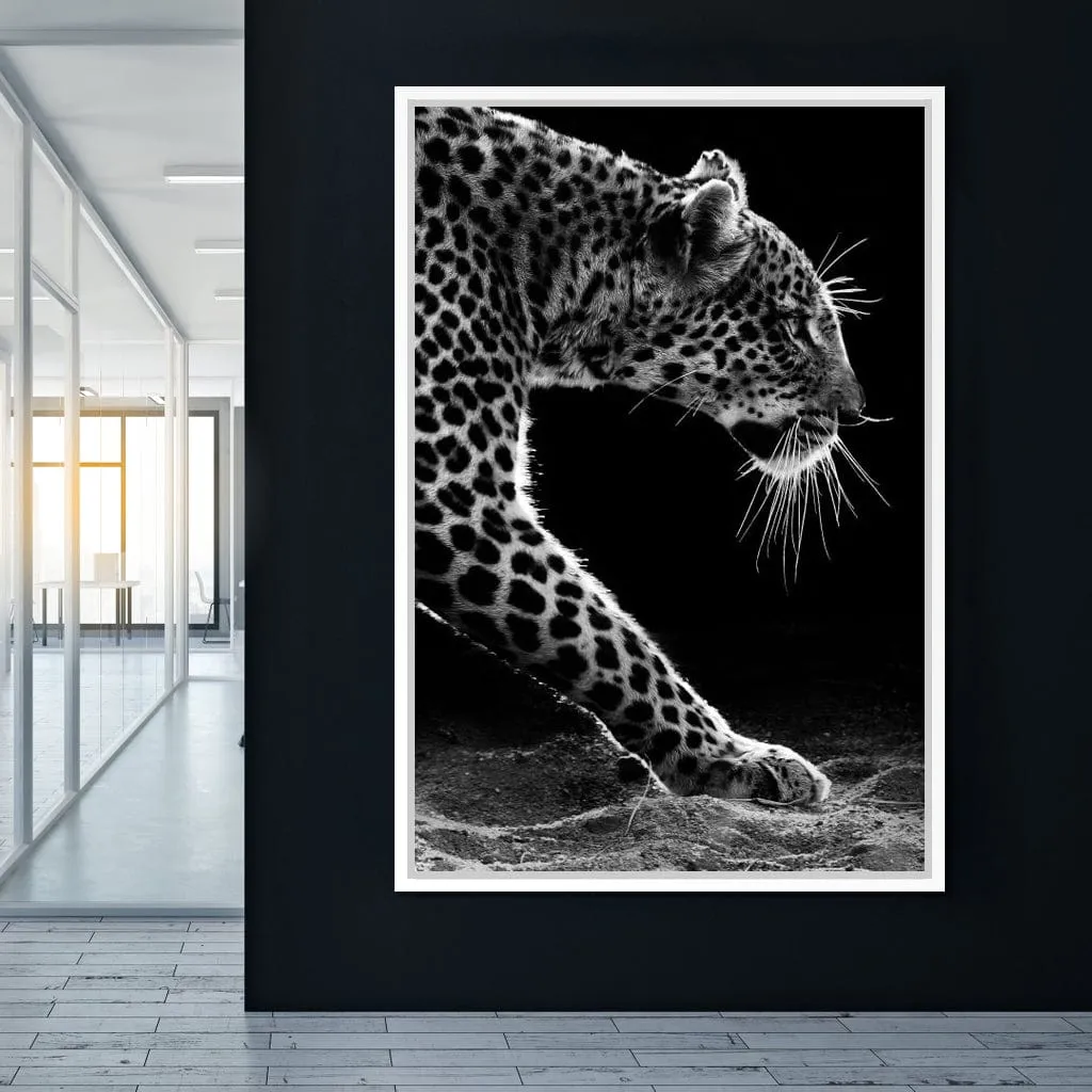 Black and white Leopard