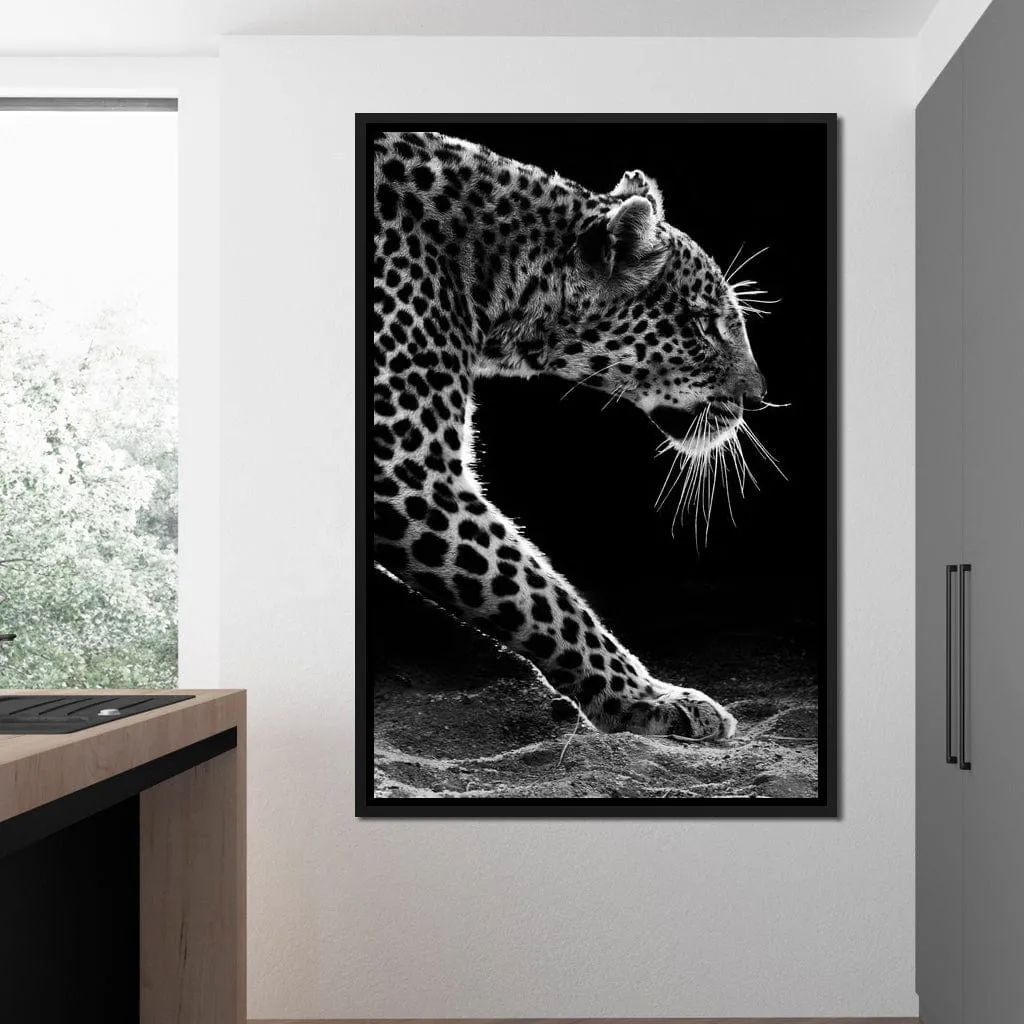 Black and white Leopard