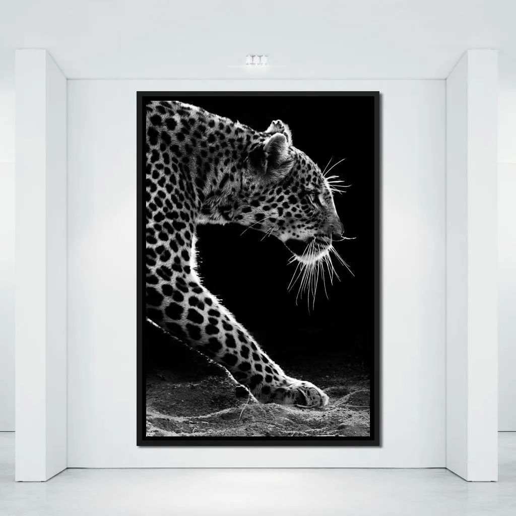 Black and white Leopard