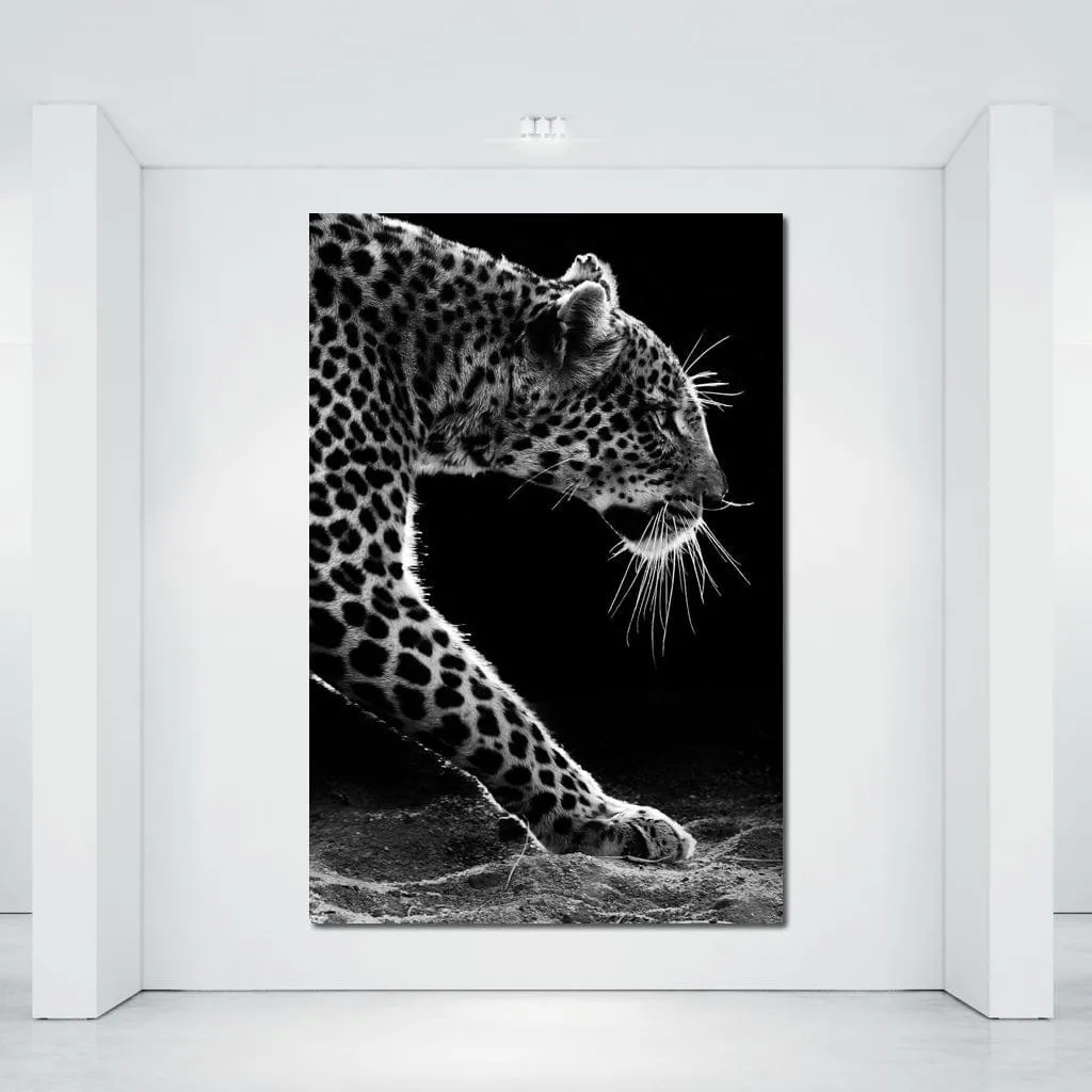 Black and white Leopard