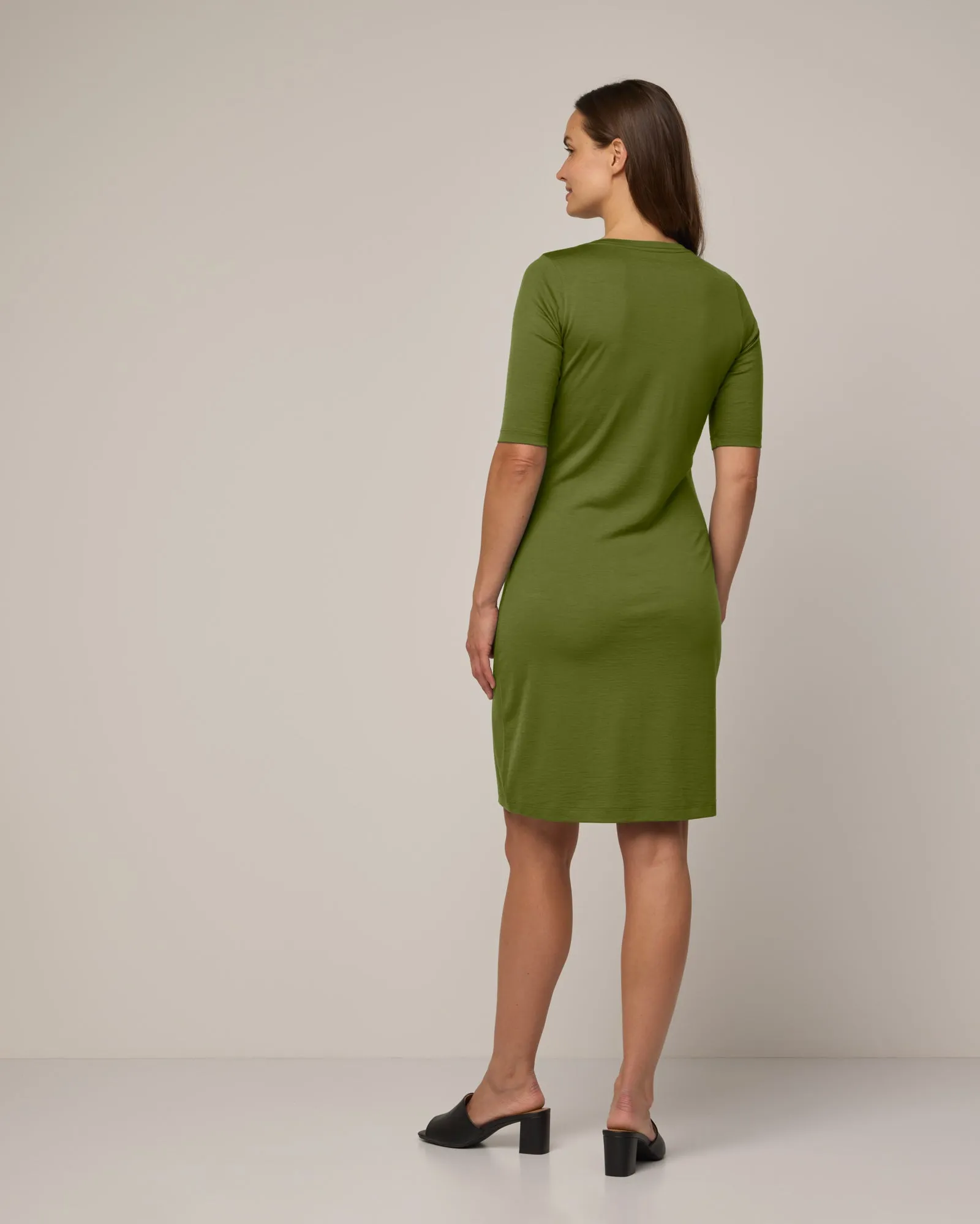 Chloe Fitted Dress