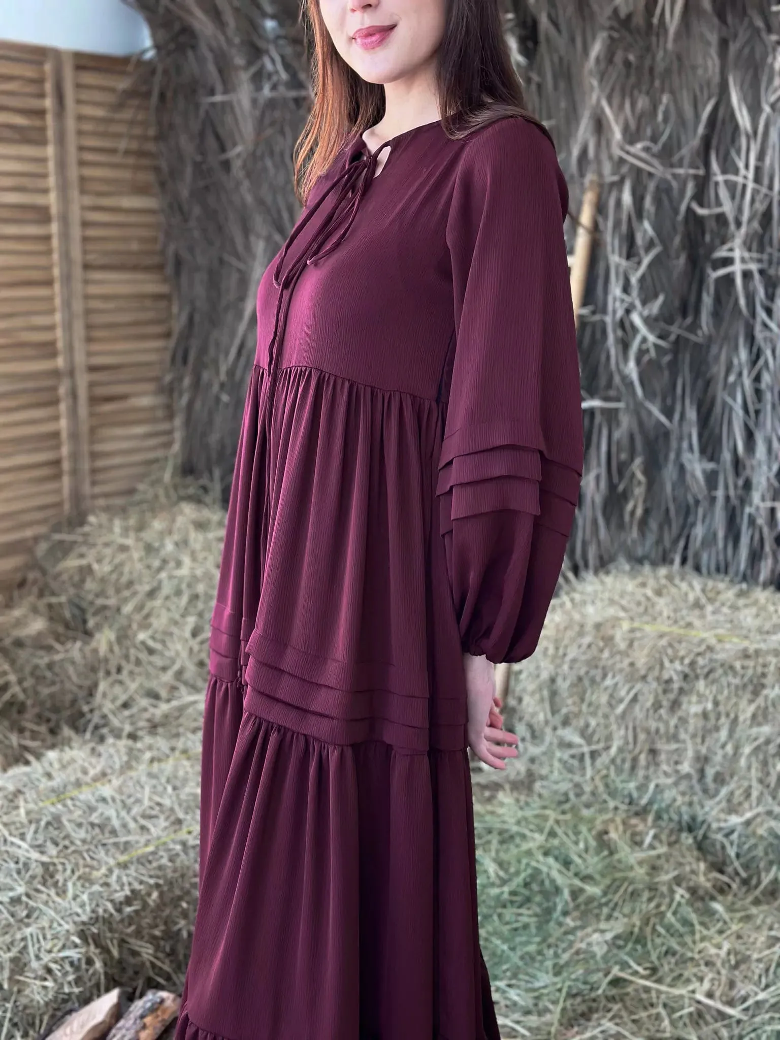 Wineberry Long Dress